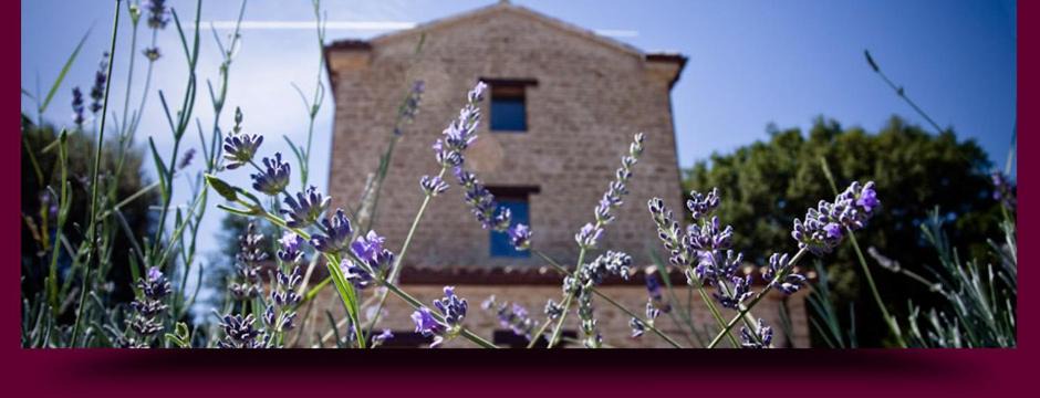 Serra San Quirico House | L'Alboreto Salvatico Homestay