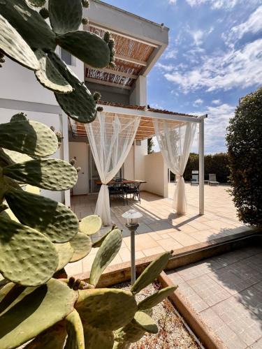 San Cataldo Apartment | L'Oasi di Evelyn