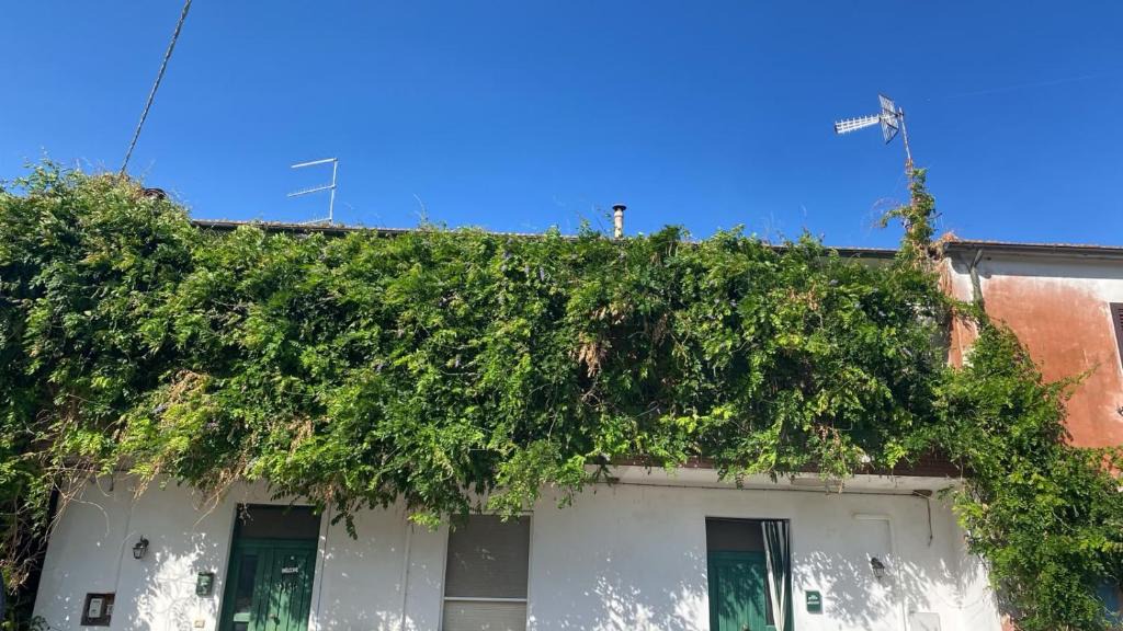 Castiglione della Pescaia Apartment | La casa di Fedio e Renza in Maremma, a 10min dal mare