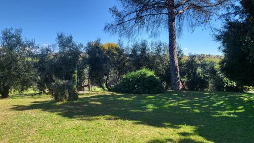 Pomezia Bed & Breakfast | la finestra sul cortile 2
