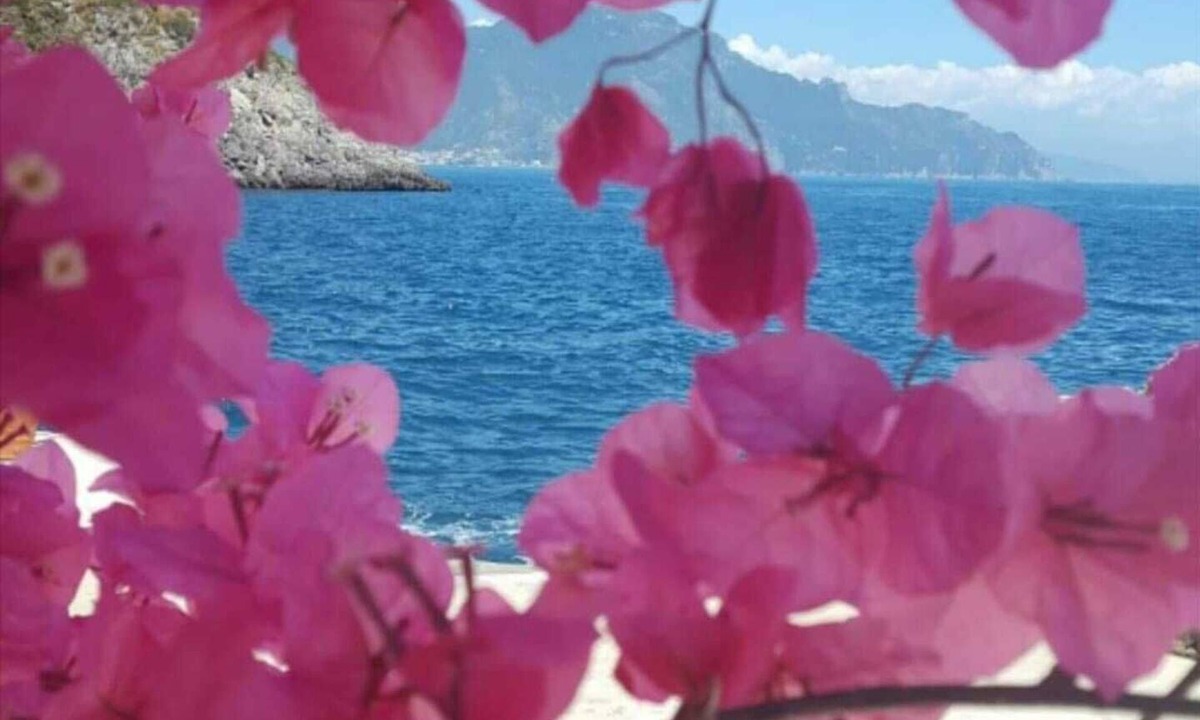 Sant'Agnello Apartment | La Perla Apartment