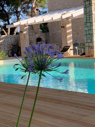 Bisceglie Villa | La Pineta