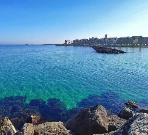 Mola di Bari Apartment | La stradina