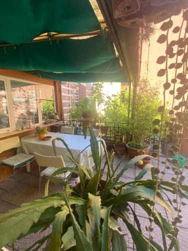 Porta Vittoria House | La Terrazza