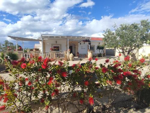 Torricella Bed & Breakfast | Le Anfore del Salento Bed and Breakfast