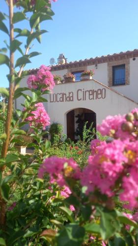 Lugnano in Teverina Bed & Breakfast | Locanda cireneo
