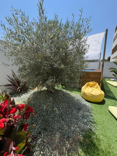 Santo Spirito Apartment | M4REE Seaside Suites & Relax