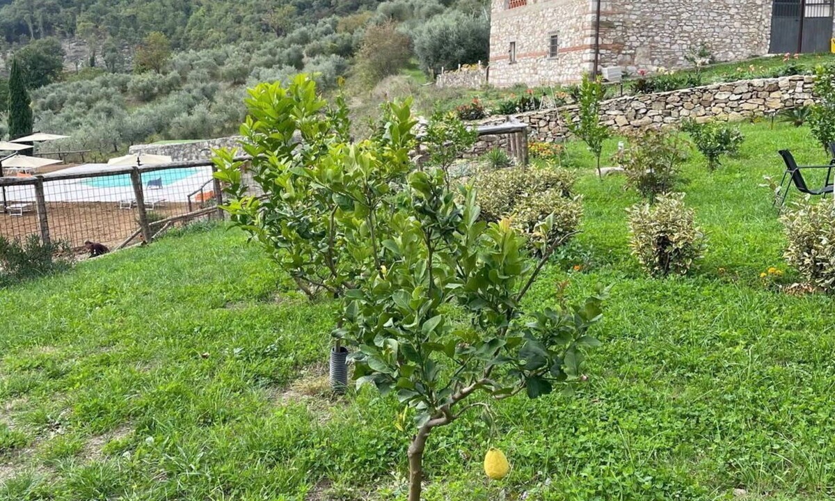 Barberino di Mugello House | Nice apartment for 4 guests with A/C, WIFI, pool and veranda