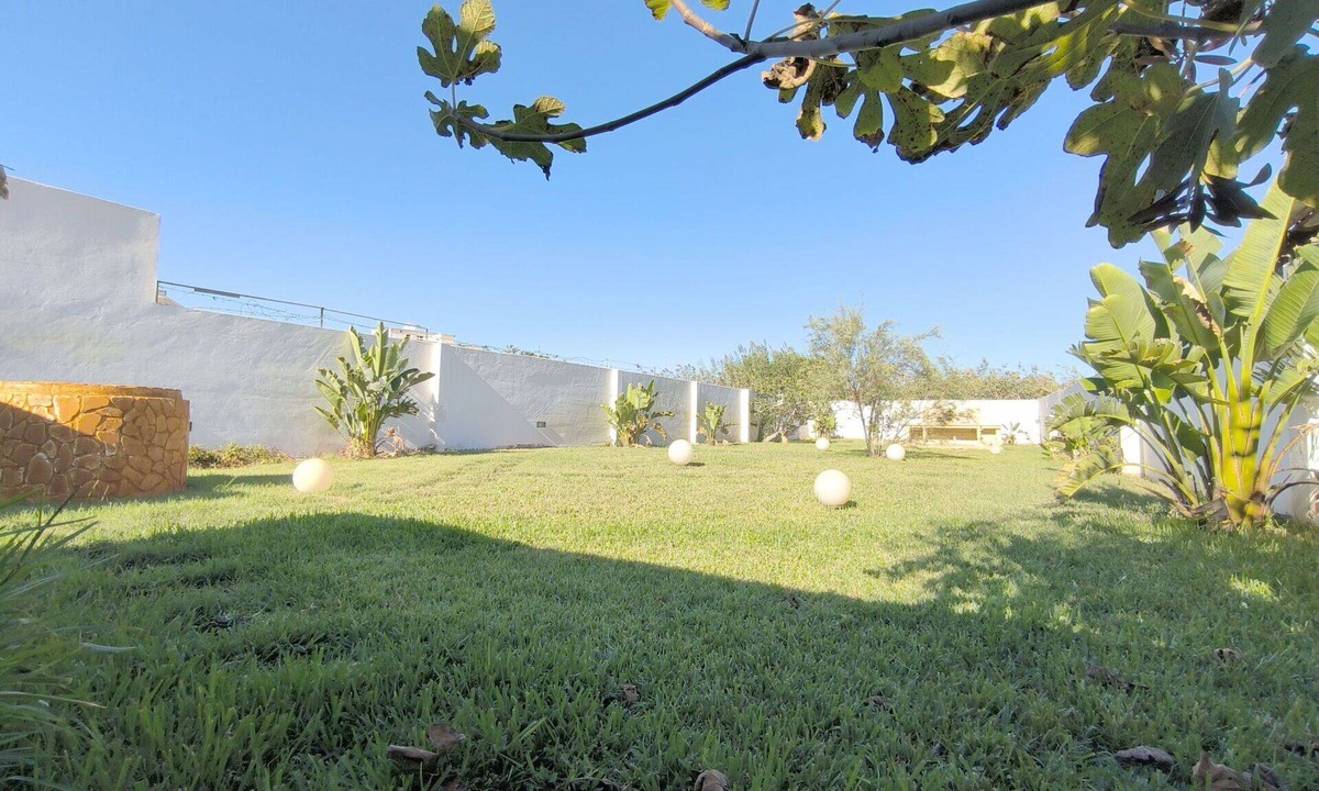 Torre Mozza Apartment | Nice apartment for 5 guests with A/C, balcony and pets allowed