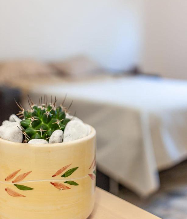 San Vito dei Normanni House | Nopal casa vacanze