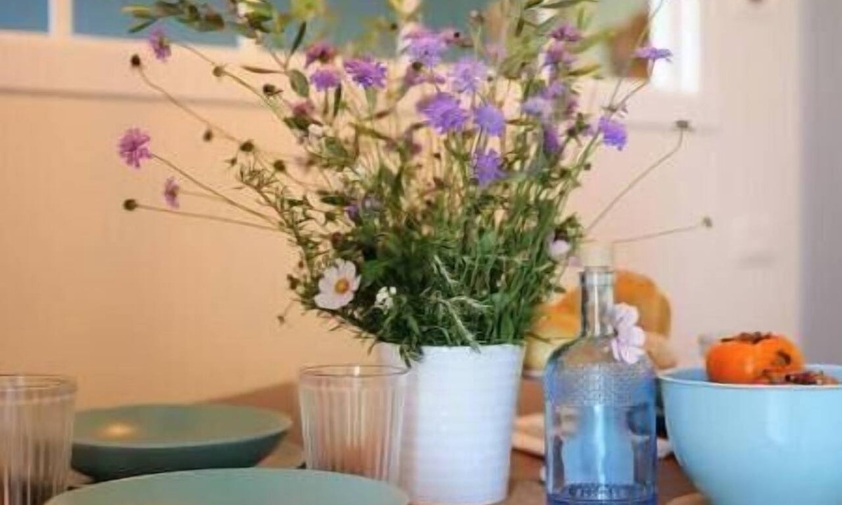 Valfabbrica House | Oltrebosco Fior di Cicoria - Nature, Relaxation & Experiences in Umbria