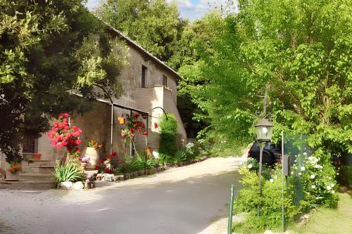 Palazzina Apartment | One bedroom apartment with wifi at Siena
