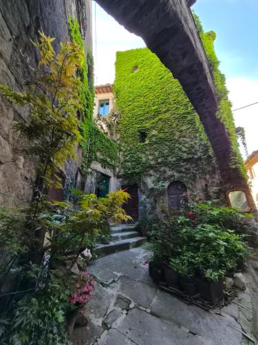 Viterbo Bed & Breakfast | PapalePapale B&B
