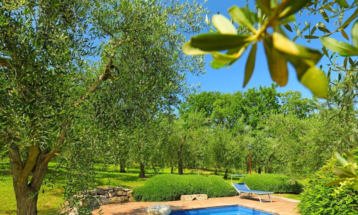 Penna in Teverina House | Private Villa with A/C, WIFI, private pool, TV, patio, pets allowed, panoramic view, parking