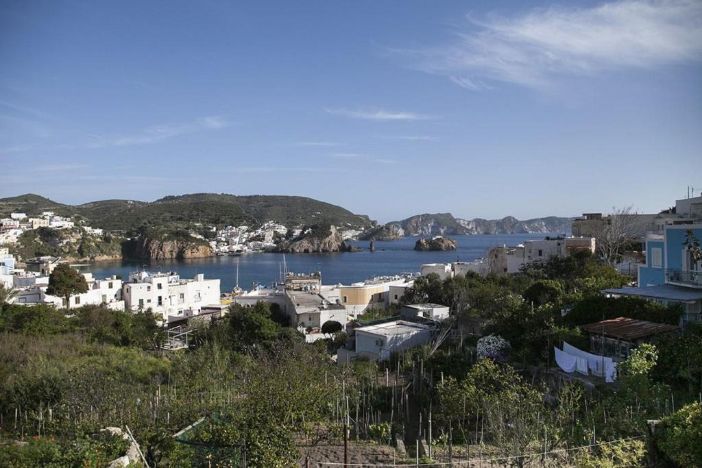 Ponza House | Salvatore 6