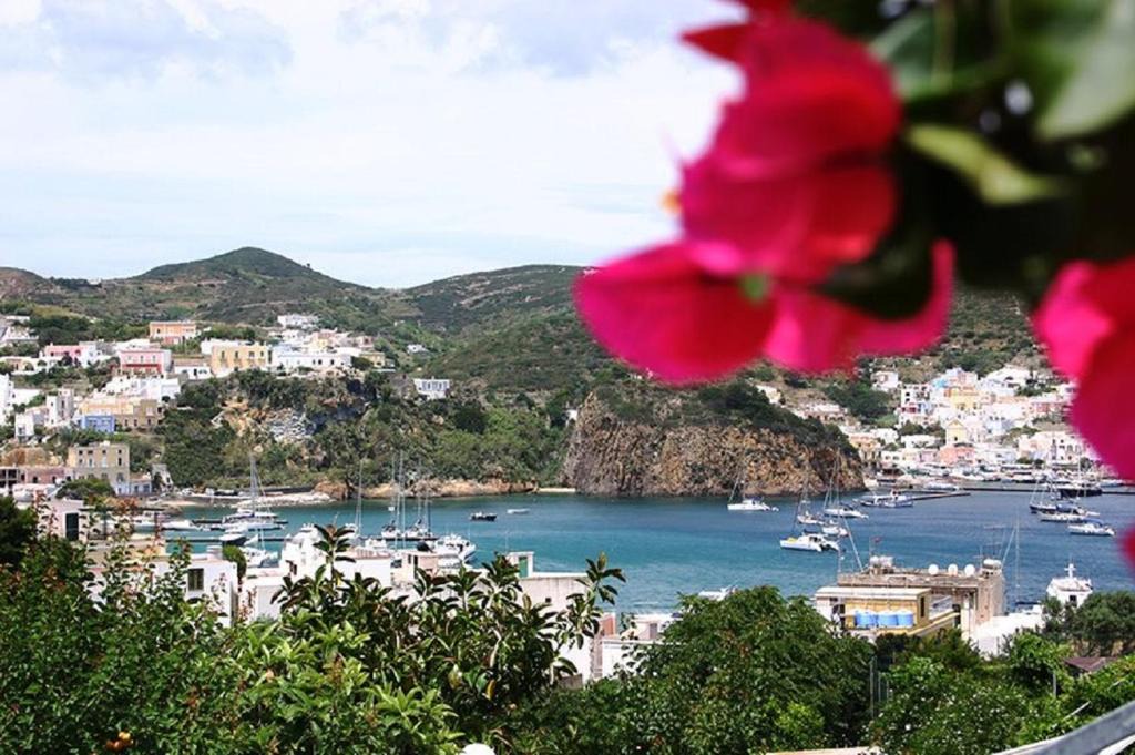 Ponza House | Salvatore 8