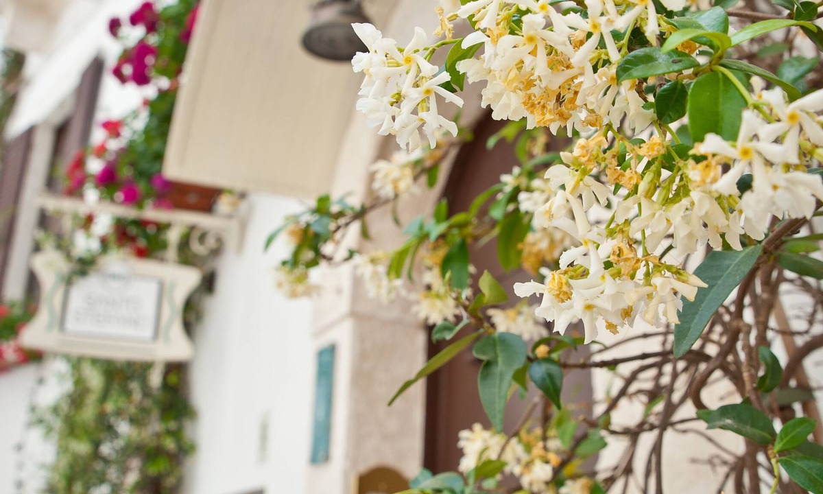 Putignano Bed & Breakfast | Santo Stefano