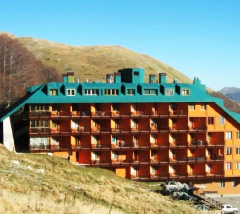 Micigliano Apartment | Sguardo nel bosco - Appartamento - Terminillo