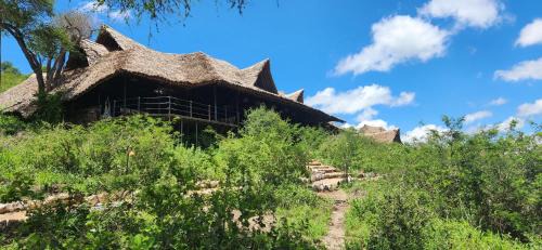Murka Other | Soroi Cheetah Tented Camp