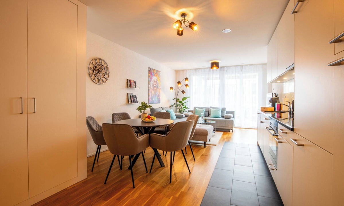 Basel City Centre Apartment | Special *EiNSTEiN II* Apartment