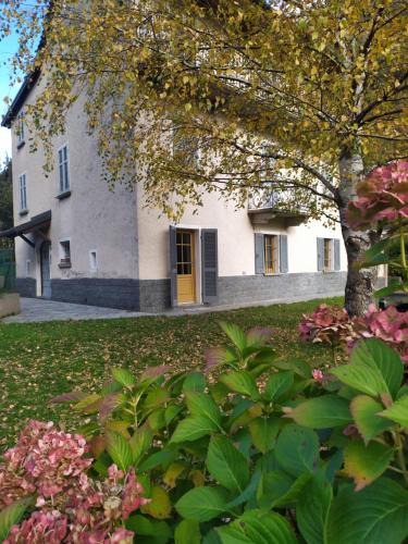 Crodo Apartment | STONE