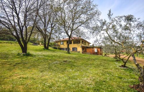 Monterosi Apartment | Stunning Apartment In Monterosi