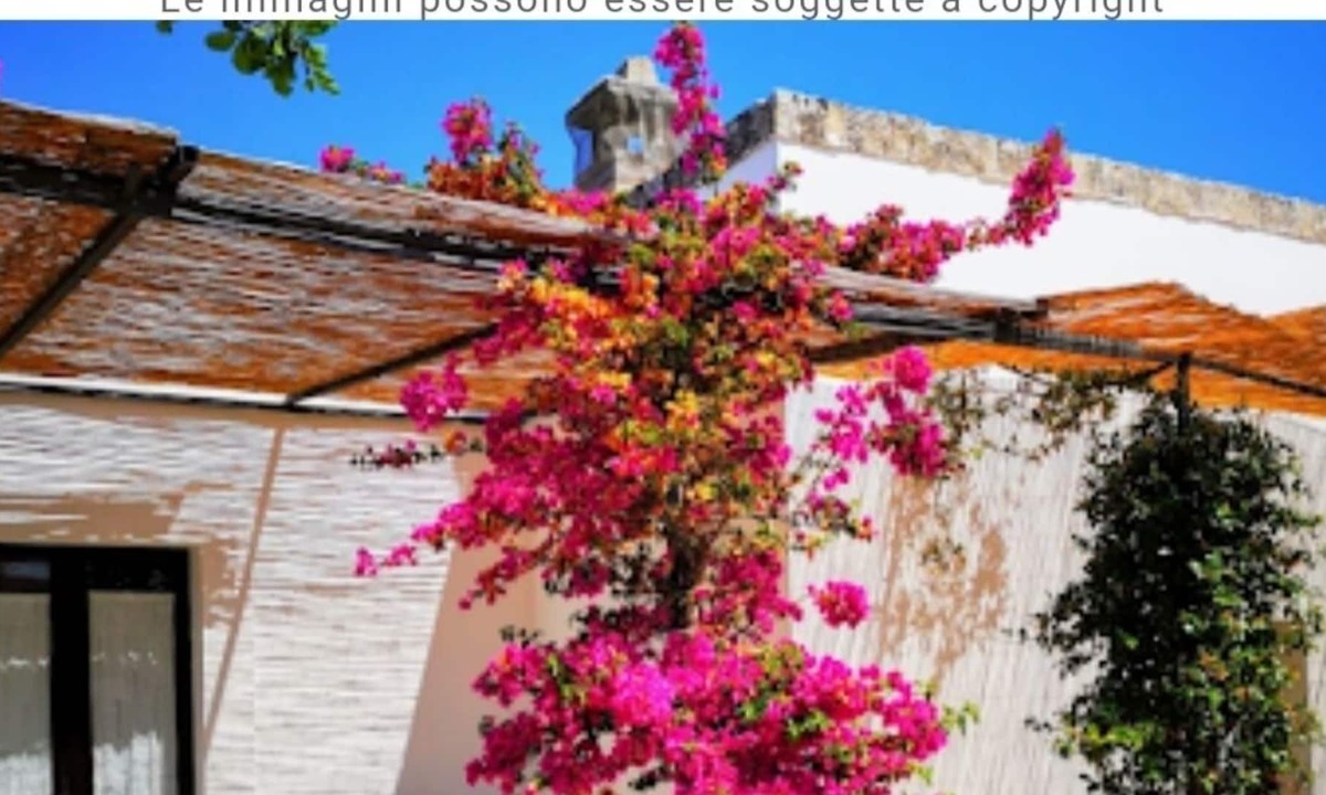 Rosa Marina Bed & Breakfast | Stunning quadruple room in ancient Masseria near the sea in a quiet olive trees.