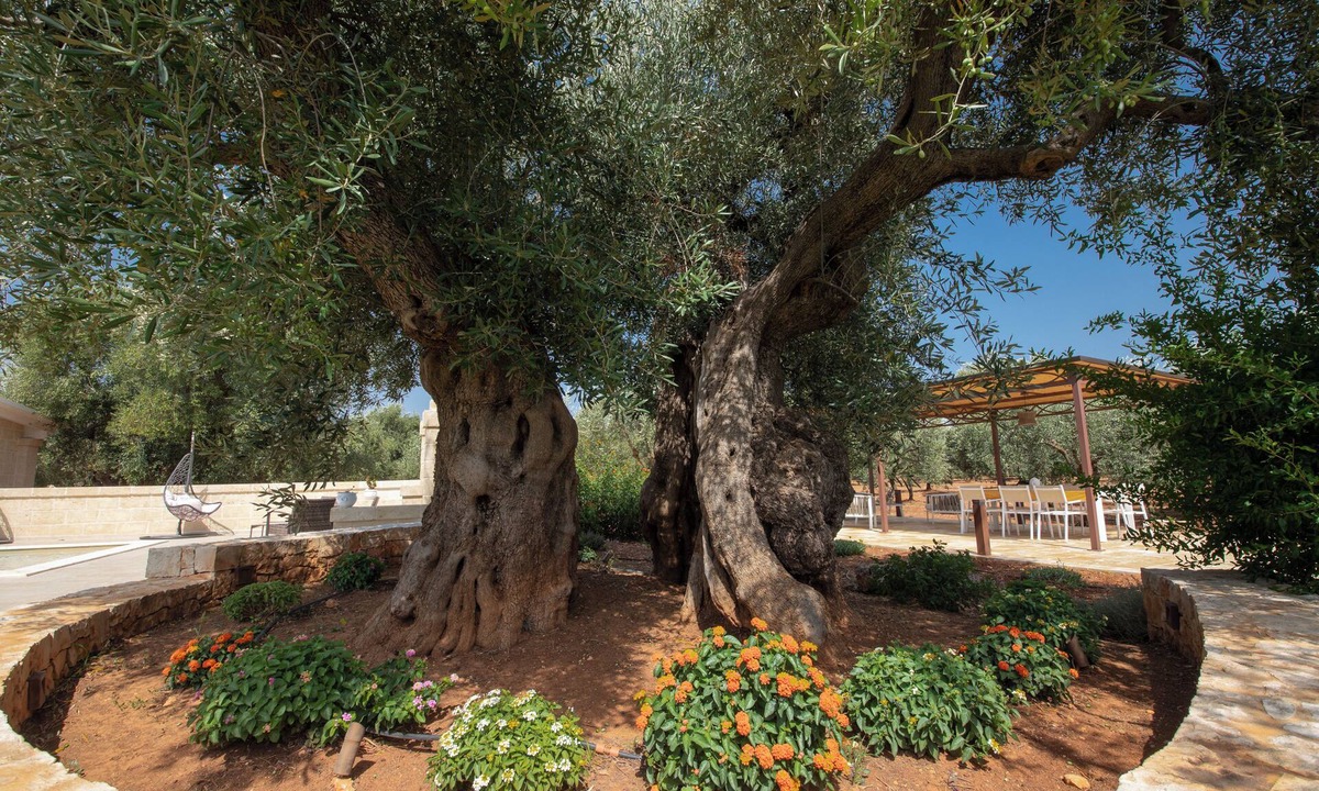 Ostuni House | Terra Mater - exclusive cottage