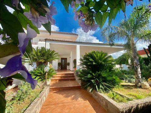 Alezio Villa | The Rosa's Luxury House