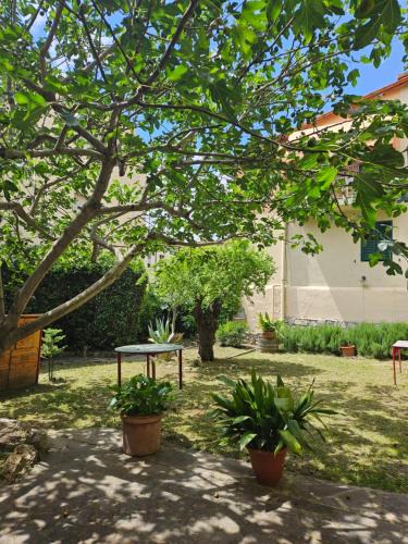 Twist House | Toscani da sempre