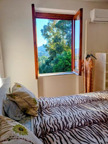 Montecorice Apartment | Tra Mare e Collina c'è Belmare