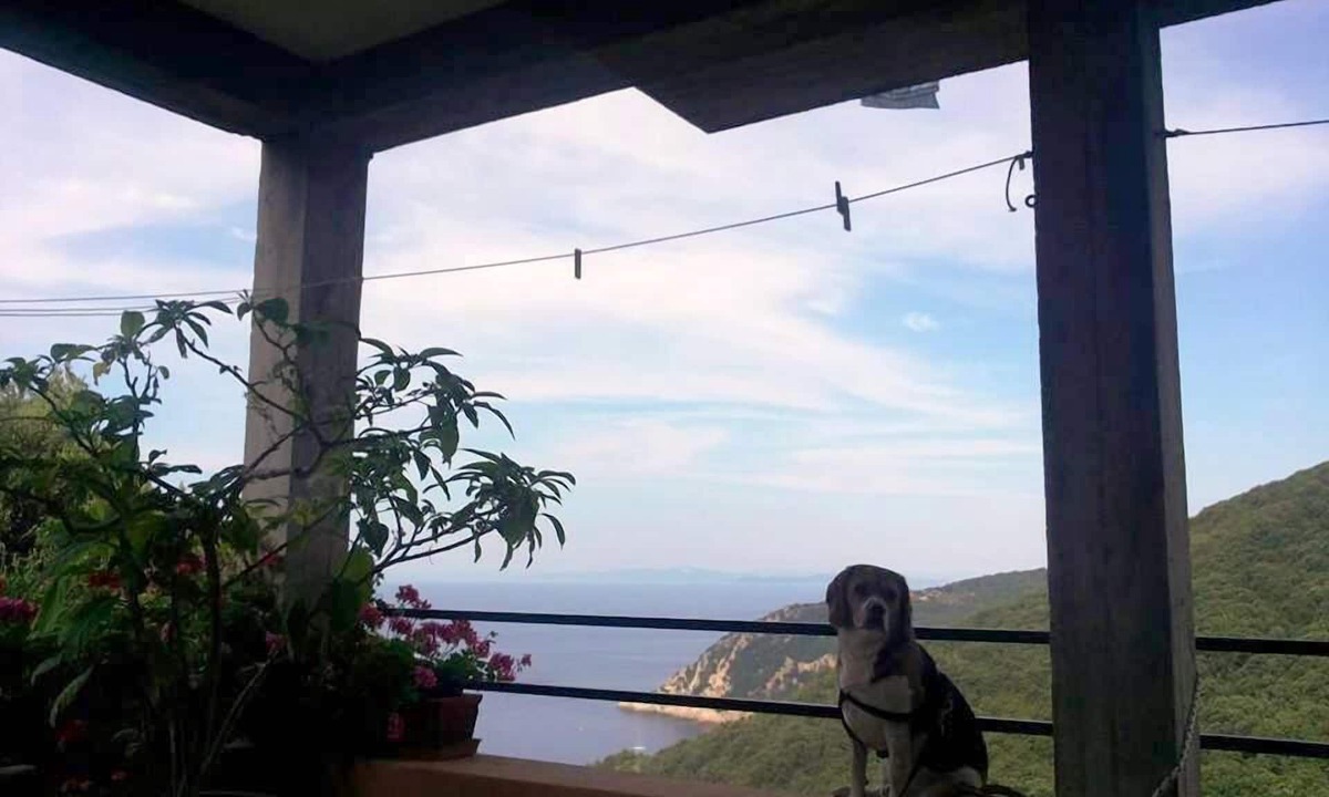 Marciana Apartment | Tranquility and spectacular views