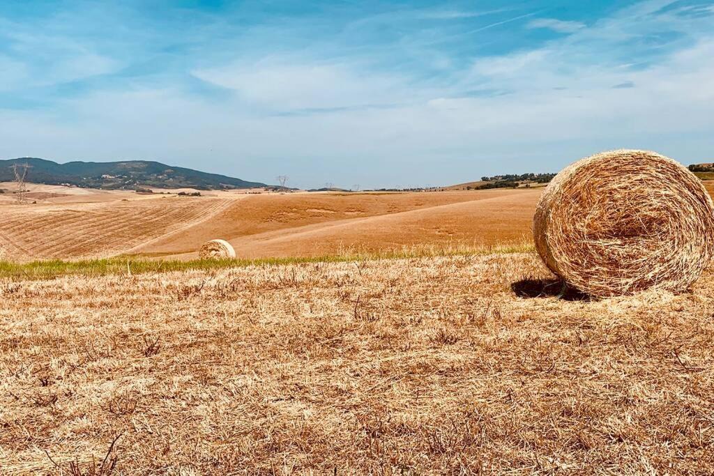 Orciano Pisano Apartment | Vacanze sulle colline Toscane ad un passo dal mare