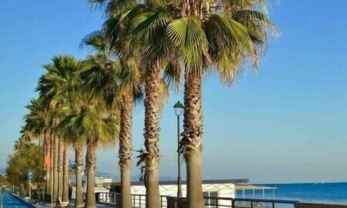 Terracina House | Vacation House Daniela
