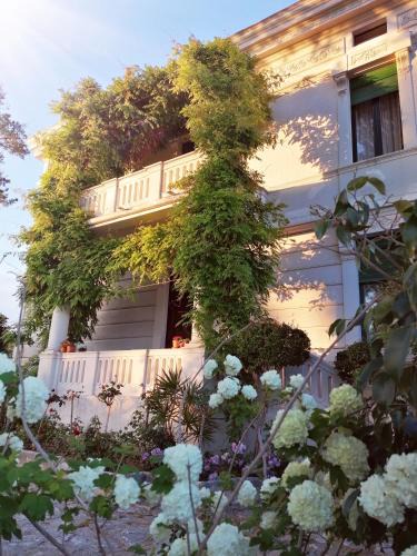 Scalea Bed & Breakfast | Villa Giordanelli