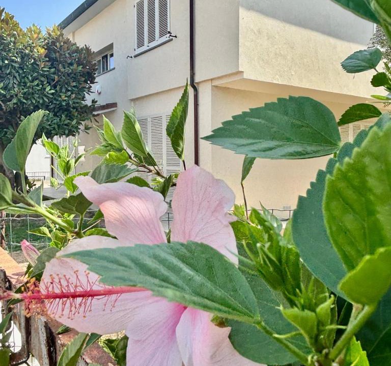 Venturina Apartment | VILLA ILARI- Appartamento RIVO tra MARE e TERME