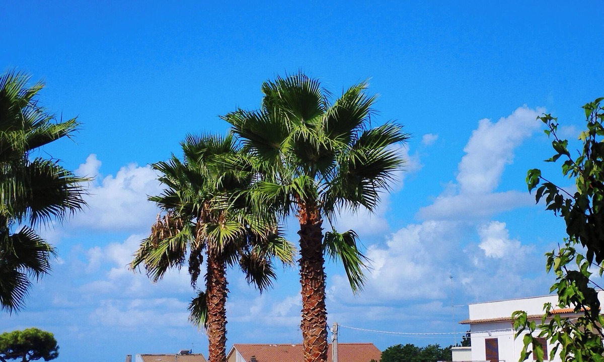 Anzio House | "VILLA MARECHIARO" - beach=100m/train>Rome 340m,n1000sqm garden, ~110sqm living