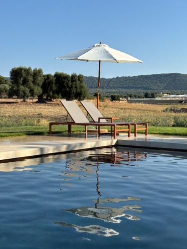 Speziale Bed & Breakfast | Villa Narducci