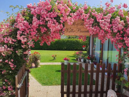 Castellabate Bed & Breakfast | VILLA PASCALE - B&B - CASA VACANZE