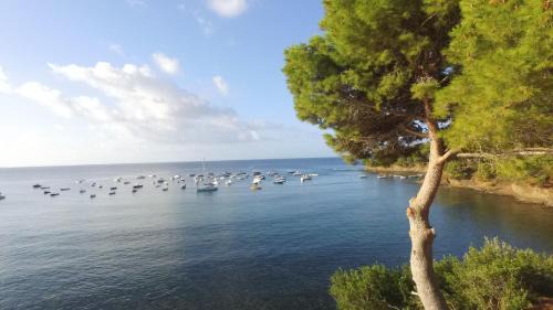 Castellabate Apartment | Villaggio Soleado