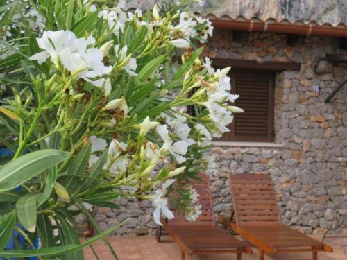 San Vito Lo Capo House | Villetta Edera all'Usciere