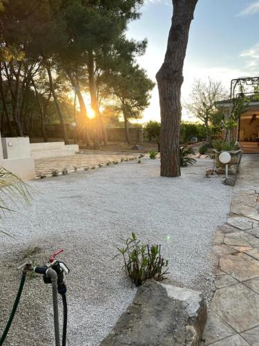 Il Monte Villa | Villetta in pineta