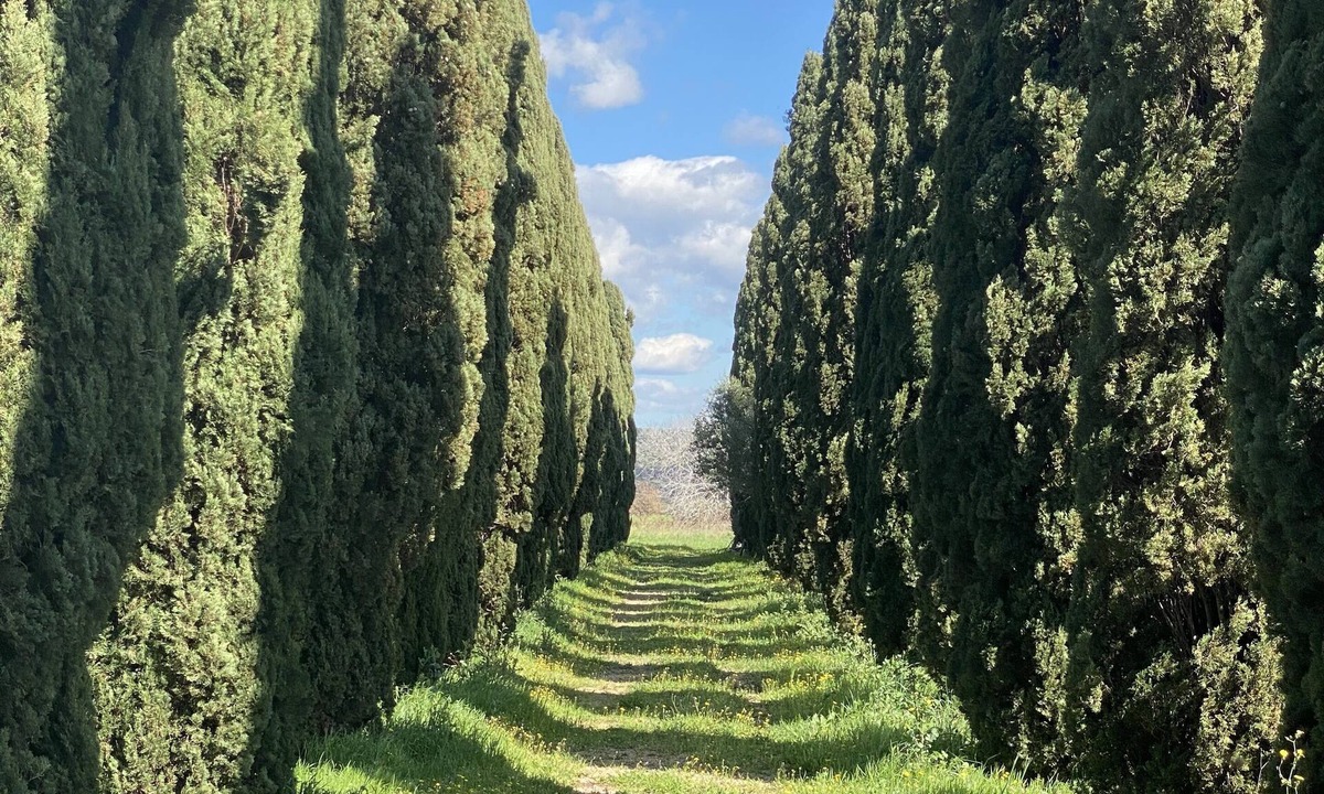 Borgo Carige Villa | Vrbo Property