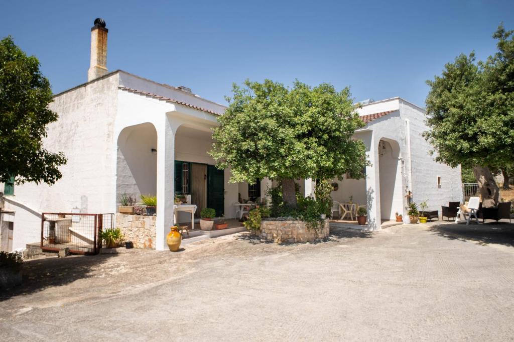 Monopoli Bed & Breakfast | WePuglia La Maison-D B&B