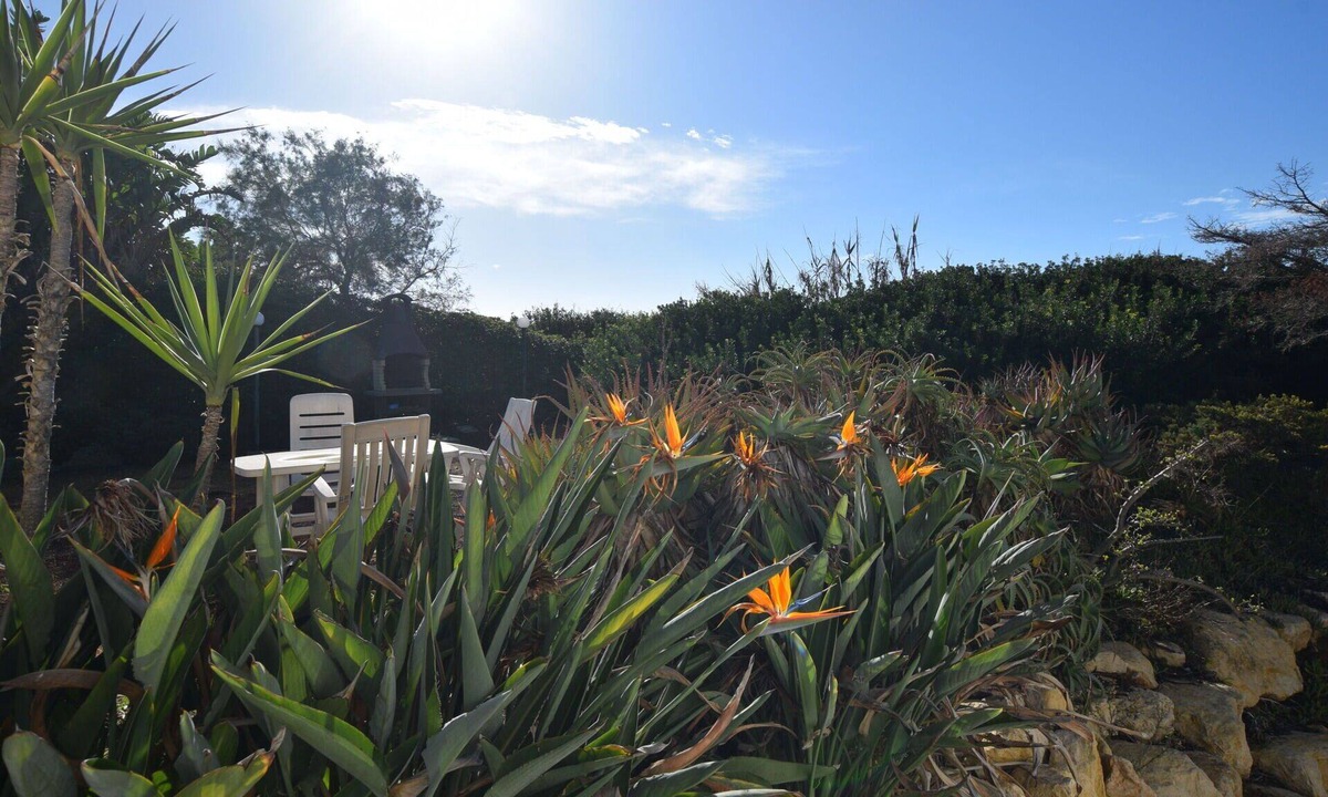Punta Braccetto Villa | Wonderful villa for 7 guests with WIFI, A/C, TV, patio, pets allowed and panoramic view