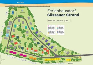 Seeigel in Heringsdorf