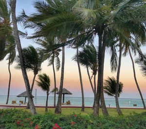 Reef Beach Resort 