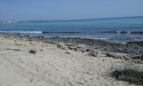 Torricella Apartment | Affittacamere Letizia