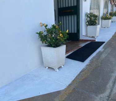 Ponza Apartment | Agenzia Isotur ATTICO SUL PORTO