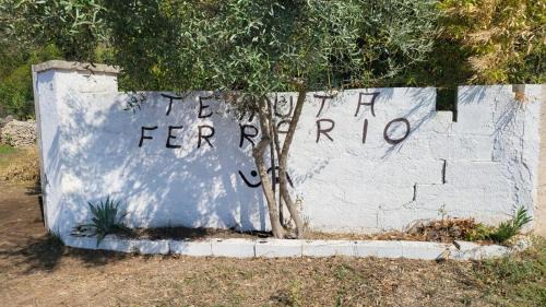 Alezio Other | Agricampeggio Tenuta Ferrario